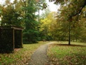 Arboretum Bench and Path