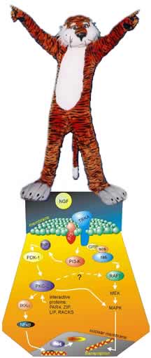 Aubie & BioScience