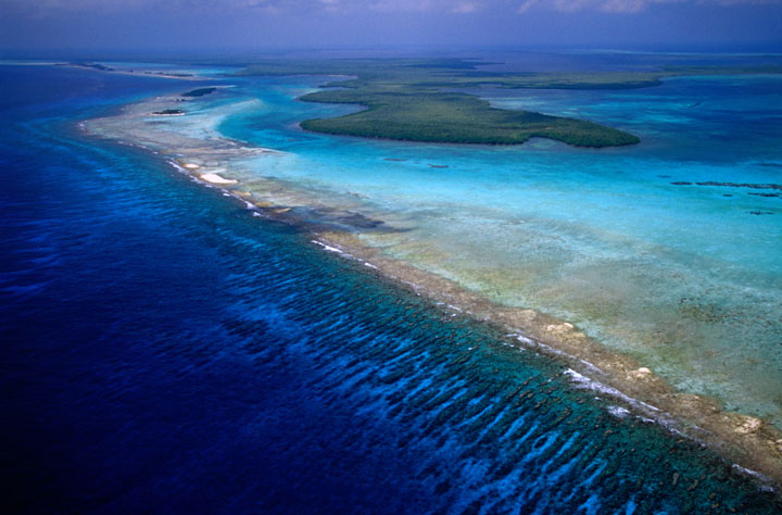 Reefs of Belize