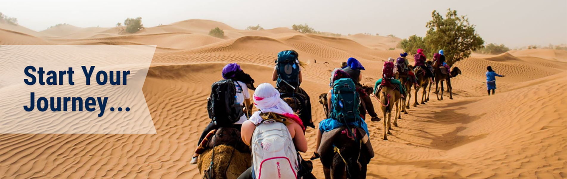 Start Your Journey - image of students abroad riding camels across the desert