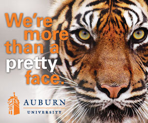 More than just a pretty face