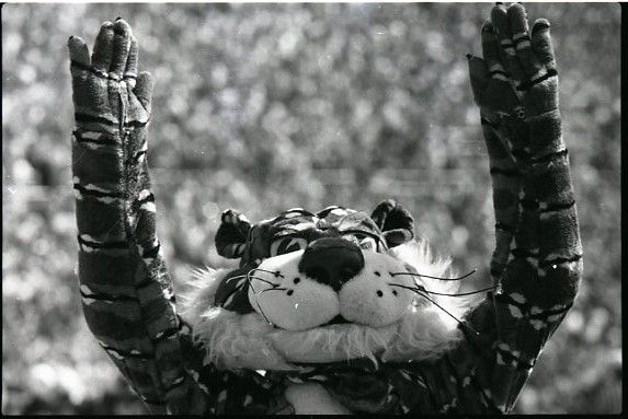 The original Aubie with hands in the air
