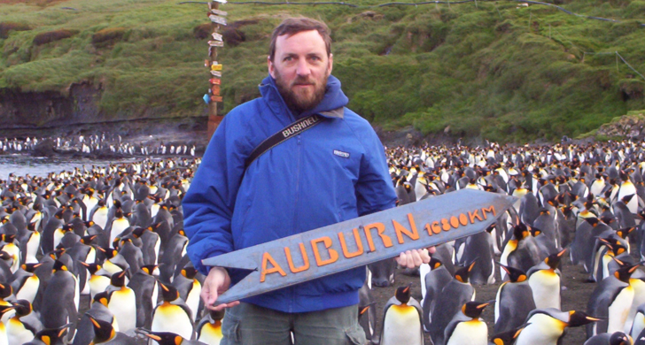 Penguins