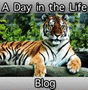 A Day in the Life Blog