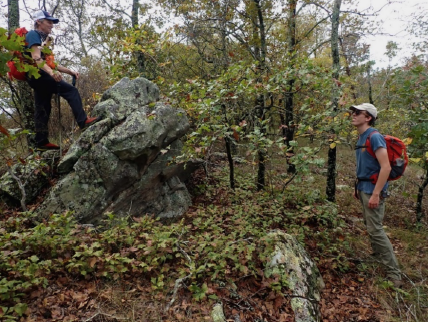 Lynn Purser and Noah Yawn counting stems of a single trunk small QUBO tree with rhizomatous stems expanding colonially in Oak Mountain State Park.