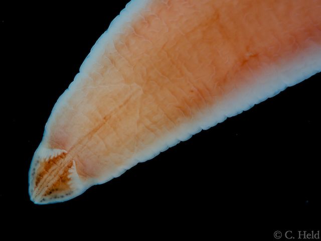 26Jan_Pic3.jpg