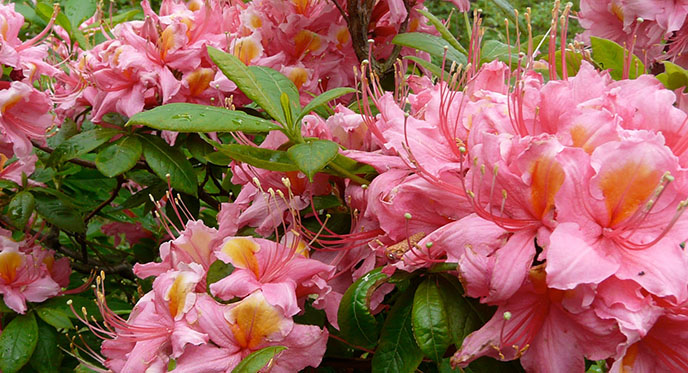 COSAM Today Top Story