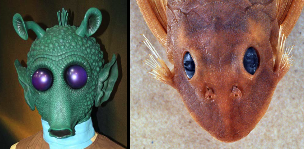 COSAM Today Top Story