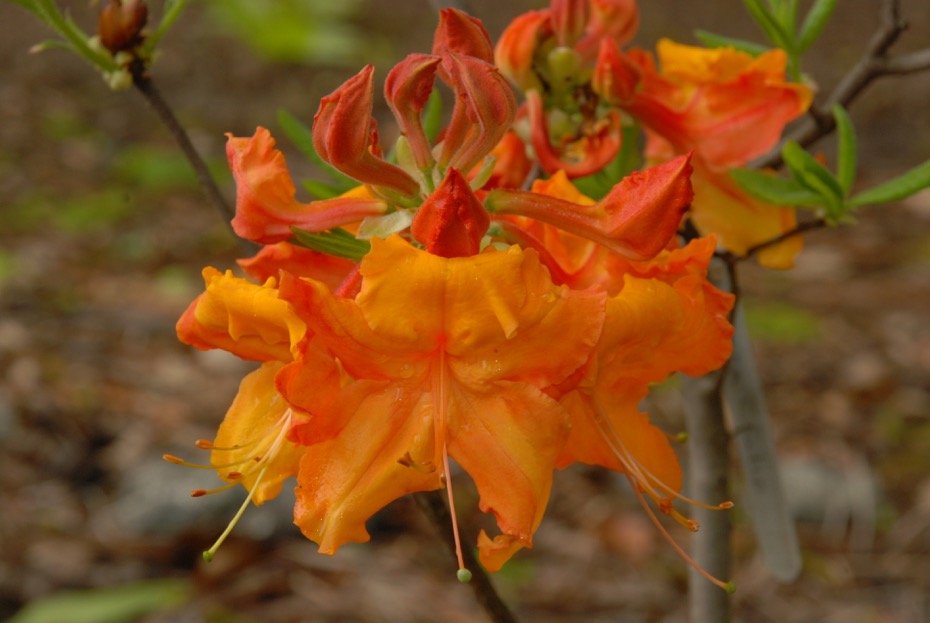 COSAM Today Top Story