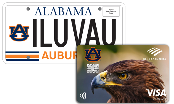 license plate and credit card image