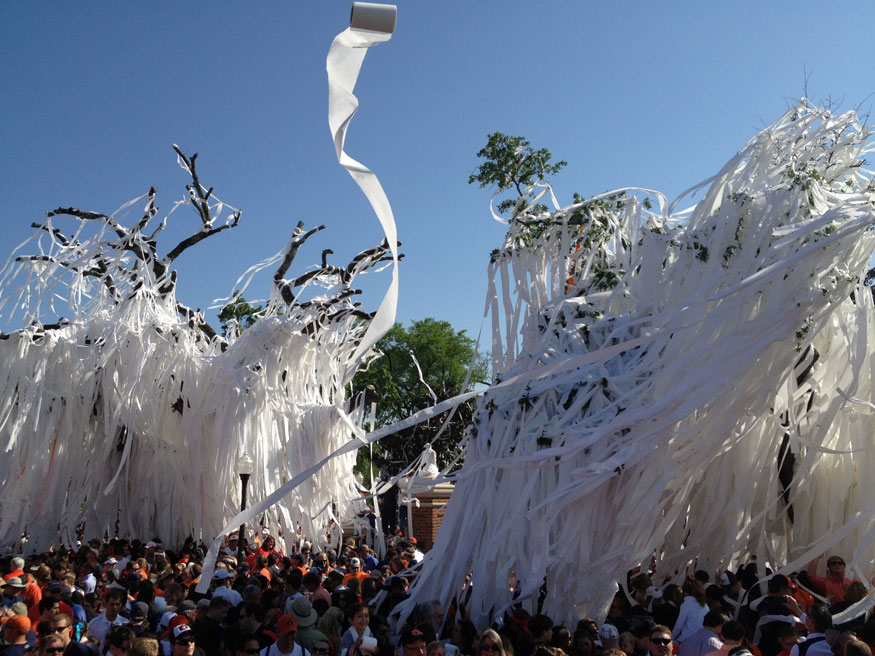A roll of toilet paper is thrown between the two trees.
