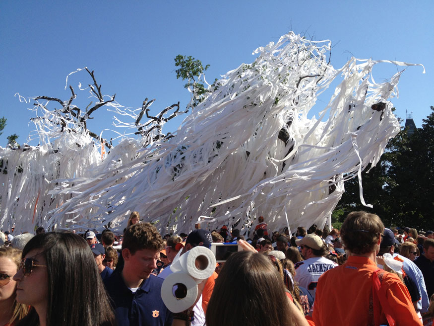Both trees are covered with toilet paper as fans look on.