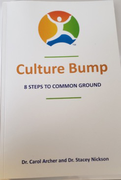Culture Bump book cover
