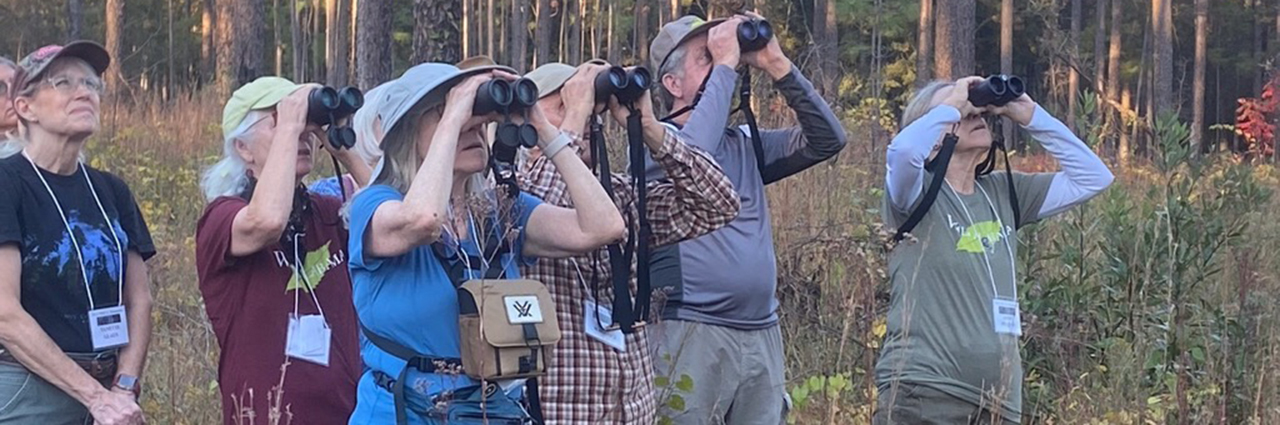 Bird watching at Solon Dixon Forestry Education Center
