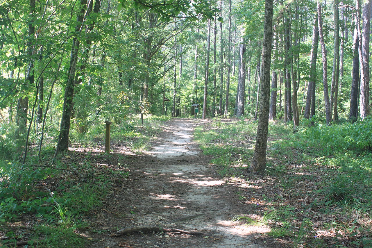 One of the many trails in the woods at the preserve is shown.