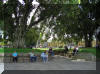 Small Park in Heredia