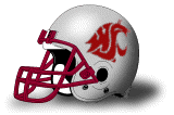 Washington State Helmet