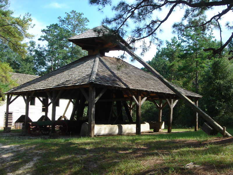 DSC07900
