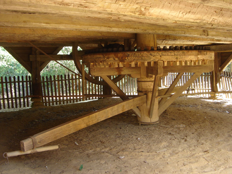 DSC07908