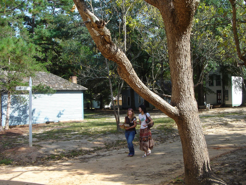 DSC07910