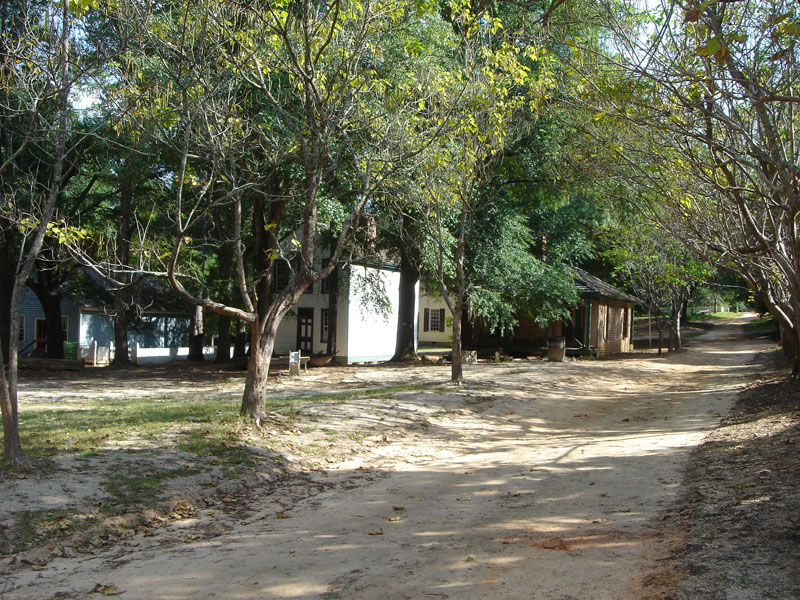 DSC07911