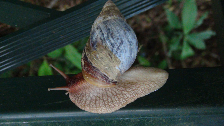 DSC01180