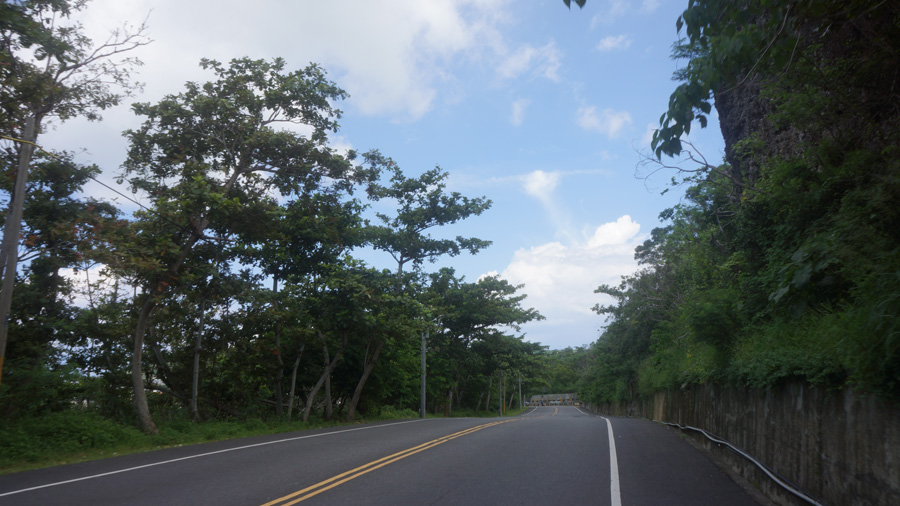 DSC00085