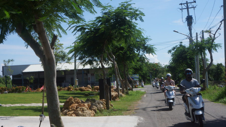 DSC00134