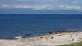 DSC00208