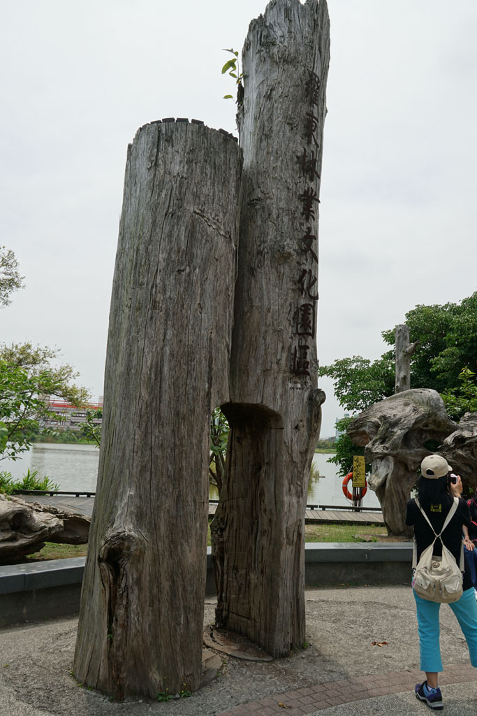 DSC00015