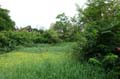 DSC03270