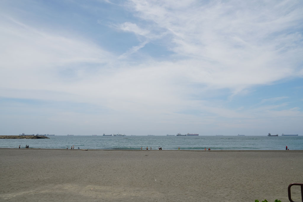 DSC00335