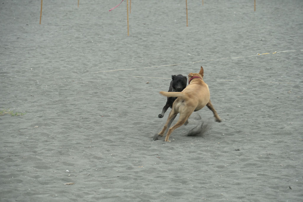 DSC00364