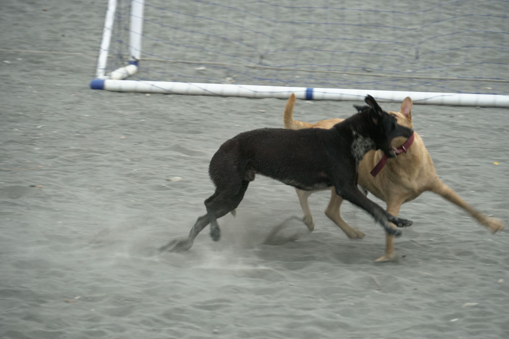 DSC00365