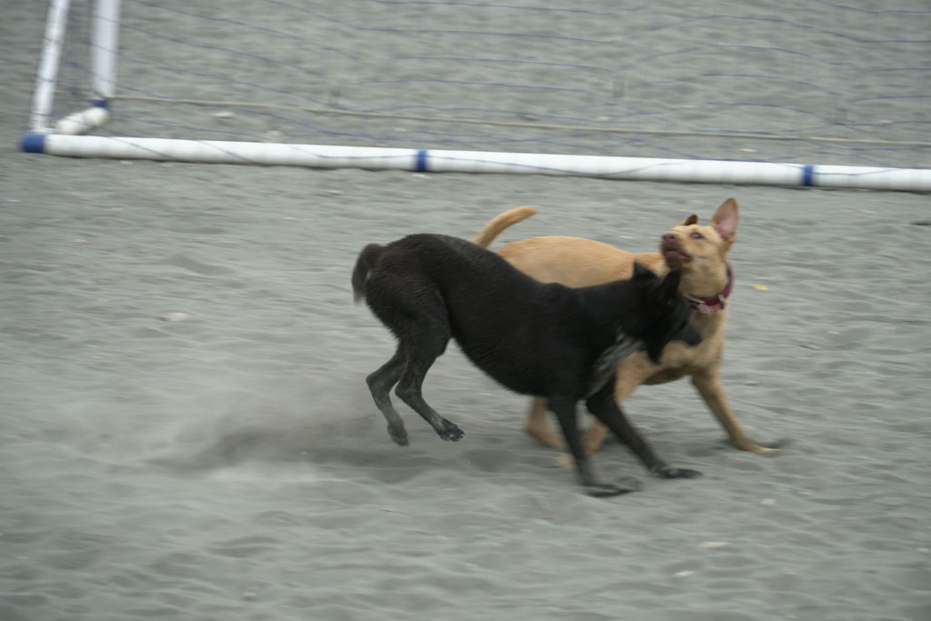 DSC00366