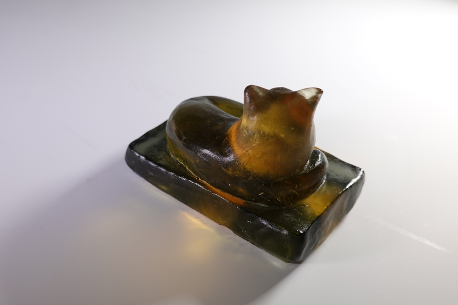 DSC00510