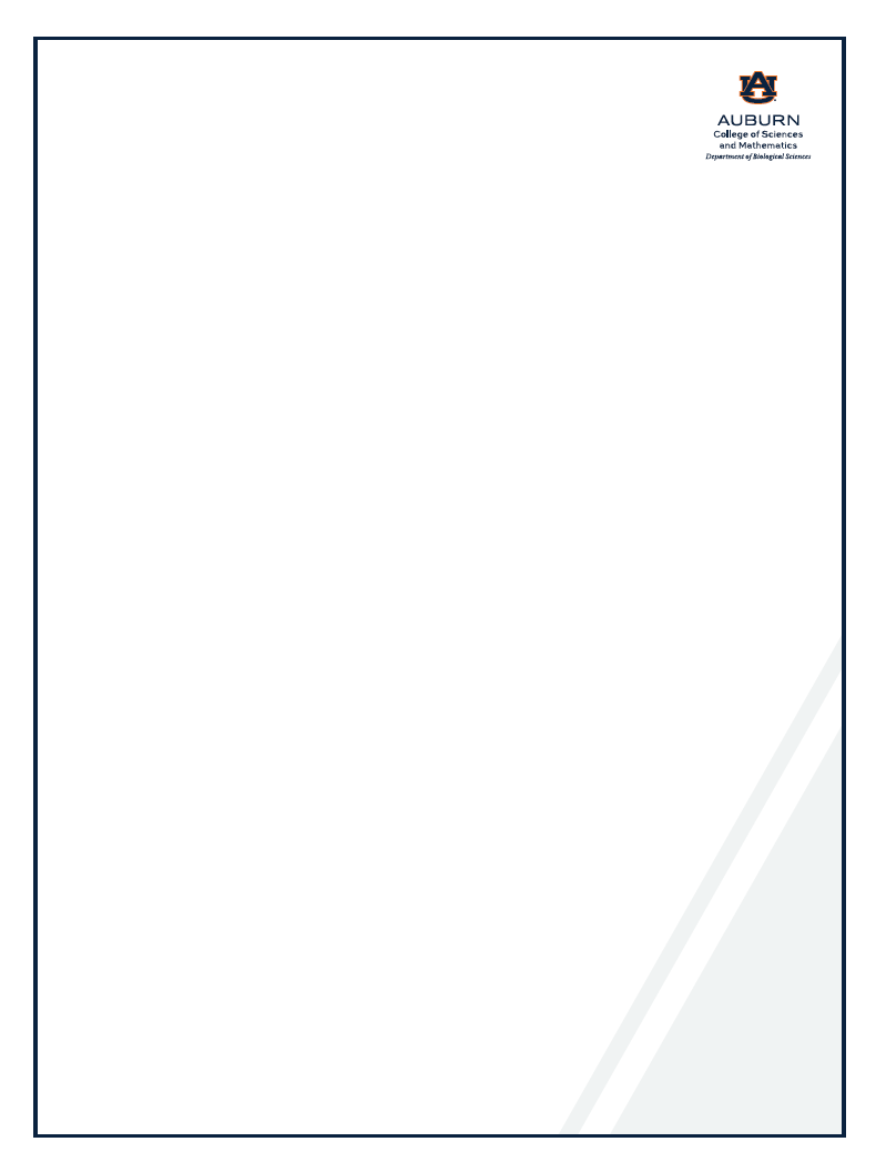 Biology Research Poster Option 2 Preview