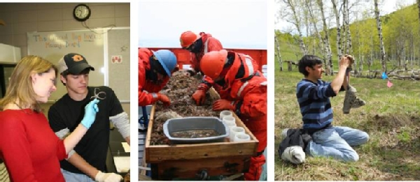 Undergrad research collage