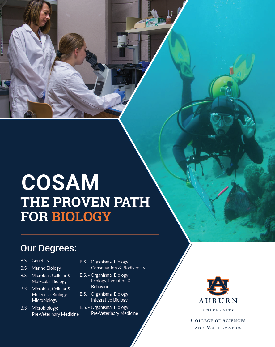 Undergraduate Degree in Biological Sciences