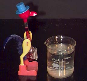 !4c31_30.jpg !4c31_30.jpg