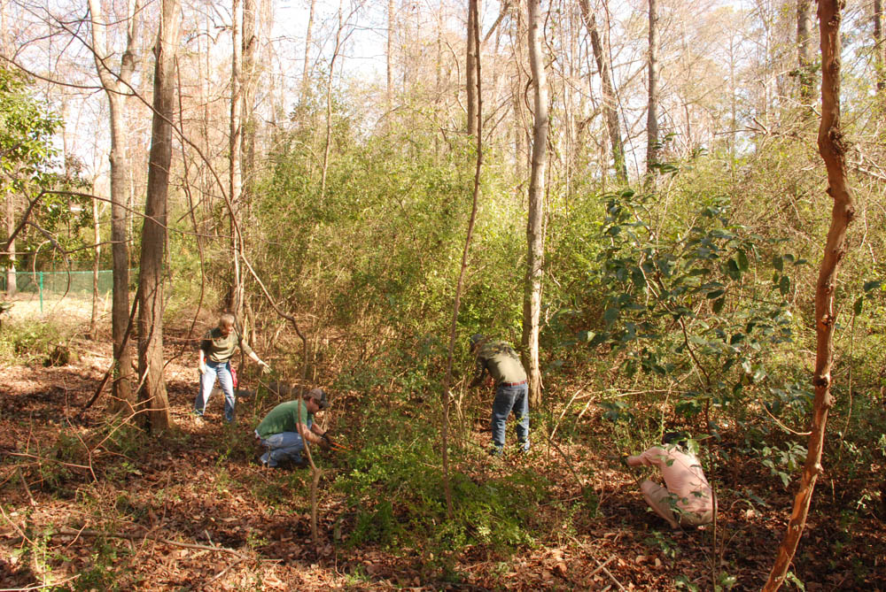 Parkerson Mill Creek Showdown
