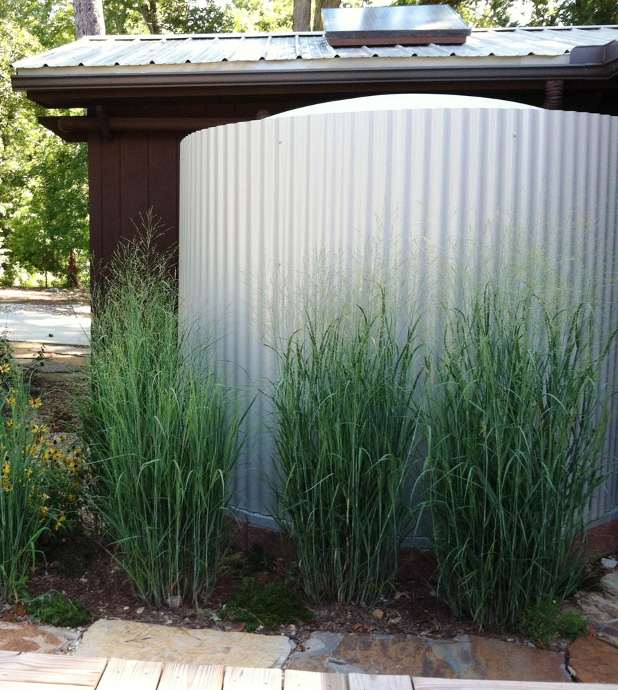 rainwater harvesting workshop