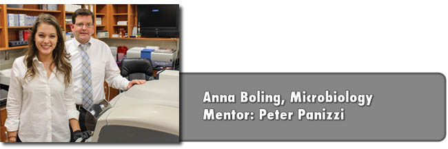 Boling and Panizzi