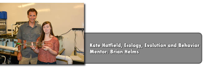 Hatfield and Helms