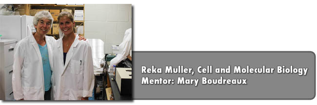 Muller and Boudreaux