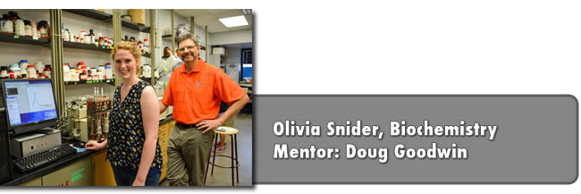 Snider and Goodwin