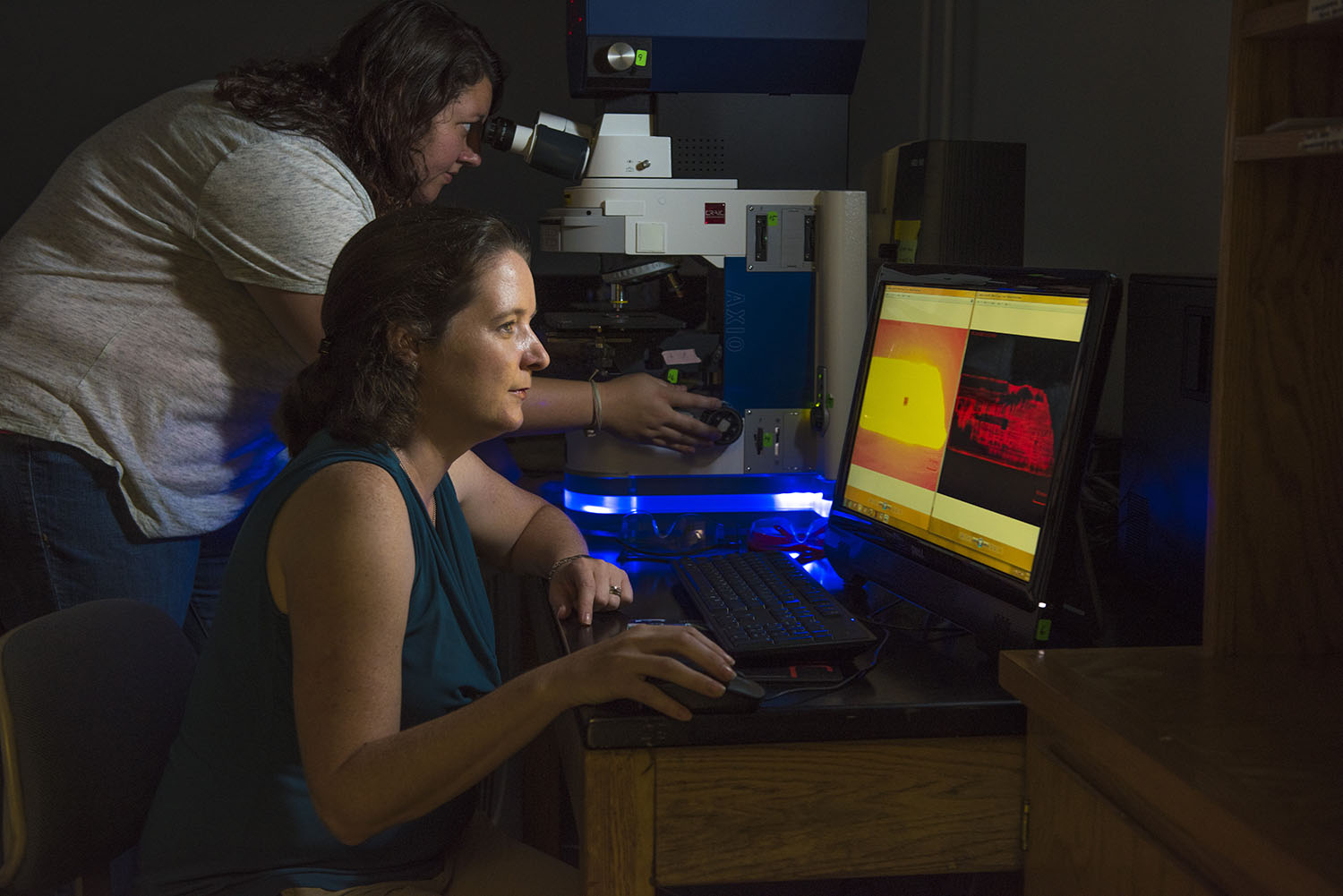 Anne Gorden examining data on a computer in her lab while a student works in the background