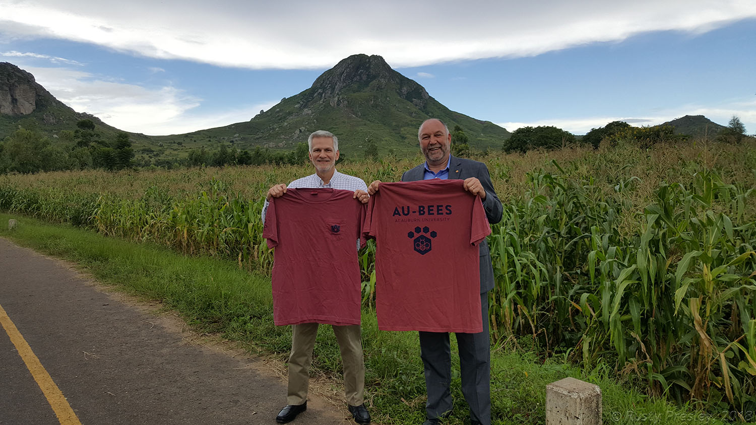 Dr. Leath standing next to a corn field holding an AU-BEES tshirt