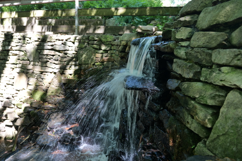 Waterfall at the Arboretum