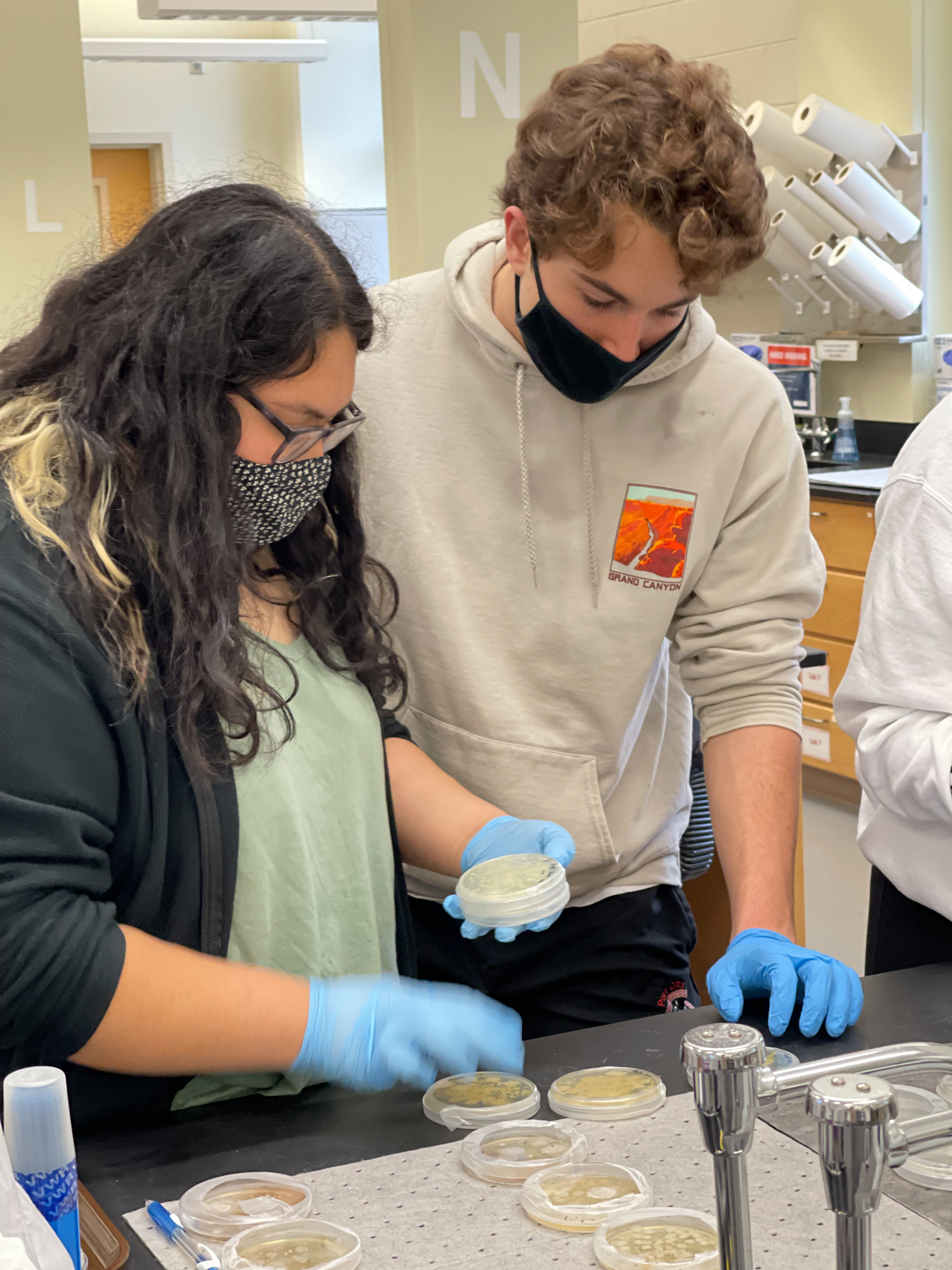 First-year students engaged in research.